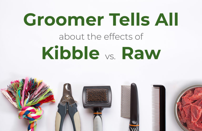 40 Year Groomer Tells<br>Why She Chooses Raw Dog Food