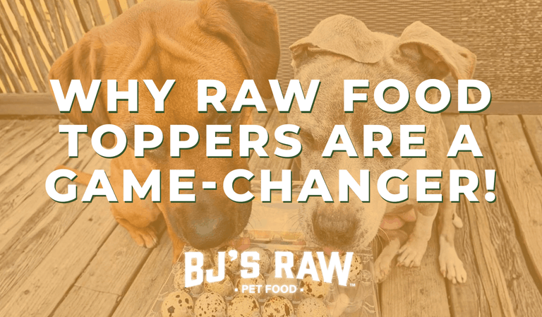 Upgrade Your Pet’s Bowl: Why Raw Food Toppers Are a Game-Changer. Raw Goat Milk, Quail Eggs, Broths, all Excellent Choices to Upgrade your Pet’s Bowl.