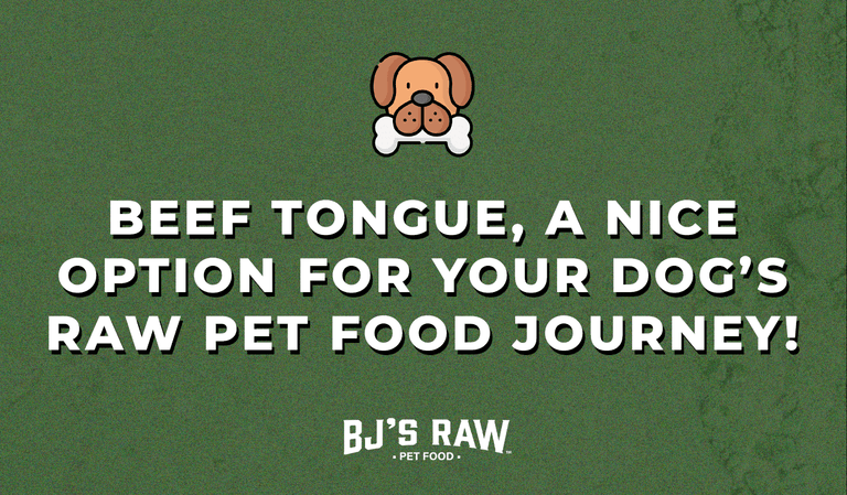 Why Raw Beef Tongue is a nice option for your dog’s raw pet food journey!