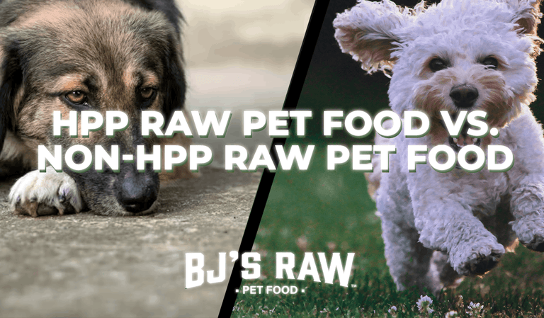 HPP vs. Non-HPP Raw Dog Food: Why We Choose Truly Unprocessed Nutrition