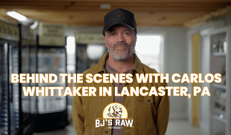 Why Carlos Whittaker Chose BJ's Raw Pet Food | Farm Tour & Review