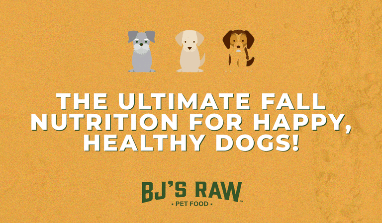 🦃 Why Your Dog Deserves our Harvest Blend, Turducken meals and seasonal treats this Fall!