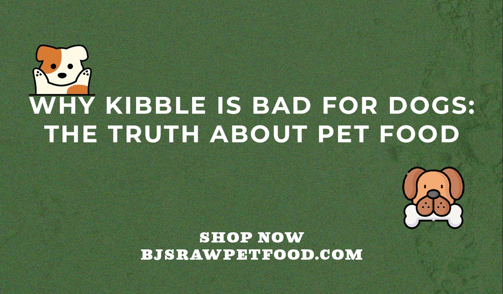 Why Kibble Is Bad for Dogs: The Truth About Pet Food