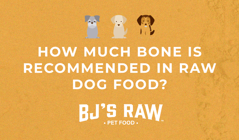 How Much Bone is Recommended in Raw Dog Food? A Complete Guide