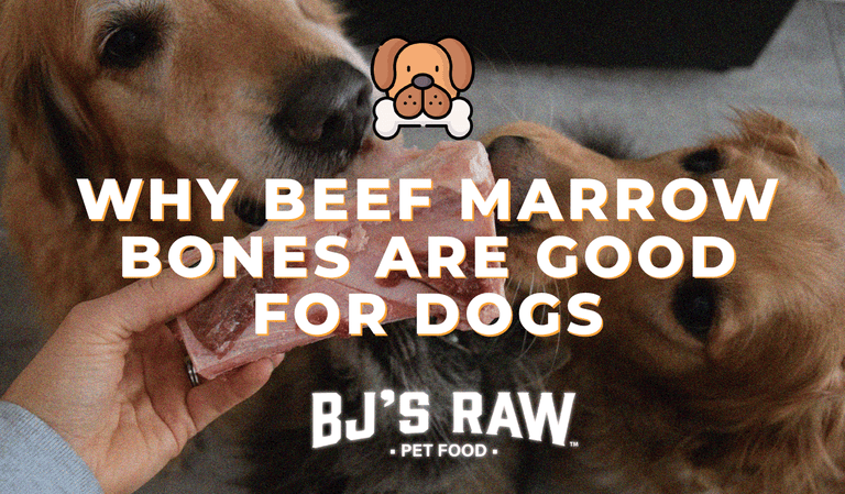Why Beef Marrow Bones are Good For Dogs