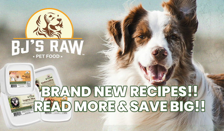 Small Business Week: Exclusive Savings on New Raw Pet Food Blends