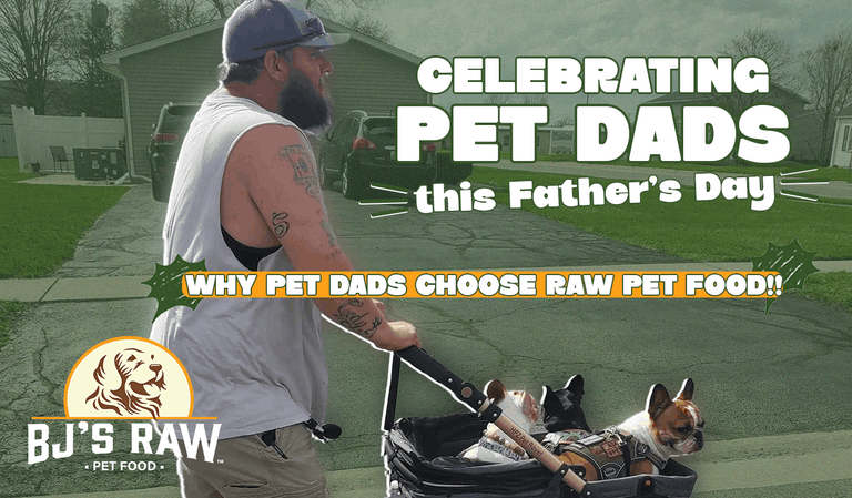 Why Pet Dads Choose Raw Pet Food: Celebrating Father’s Day with BJ’s Raw Pet Food
