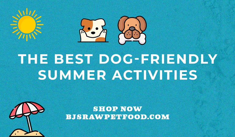 The Best Dog-Friendly Summer Activities