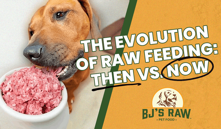 Raw Feeding for Pets: What’s Changed in 10 Years (And Why It’s Easier Than Ever)