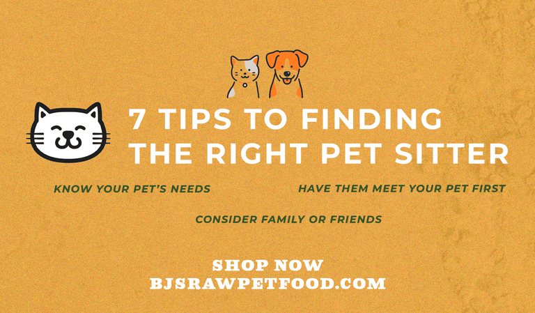 7 Tips to Finding the Best Pet Sitter
