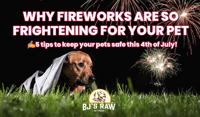 Celebrate the Fourth of July Safely: Keeping Your Pets Calm, Comfortable, and Protected