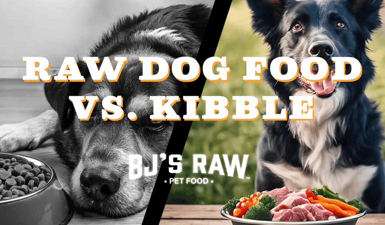Raw Dog Food vs Kibble: Benefits of Switching Your Dog and Cat to a Raw Diet
