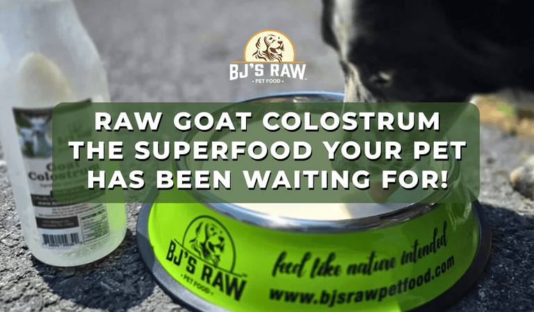Why Raw Goat Colostrum is the Superfood Your Pet Has Been Waiting For!