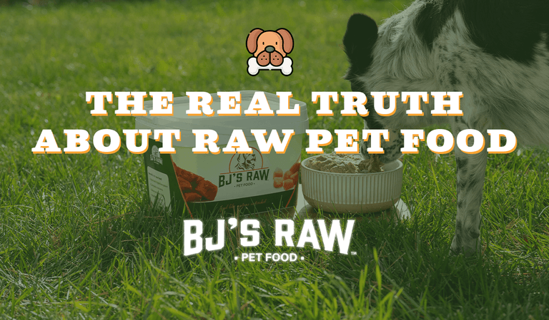 Why Raw Food Is the Key to the Health and Longevity of Your Dog and Cat
