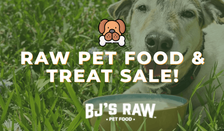 Raw Pet Food & Treat Sale: Premium Nutrition at Discounted Prices