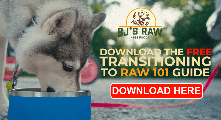 How to Transition Your Dog to Raw Food: A Step-by-Step Guide