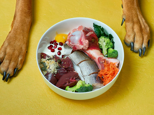 Raw Revolution: How a Raw Meat Diet for Dogs and a Focus on Dog Natural Food Boost Canine Vitality