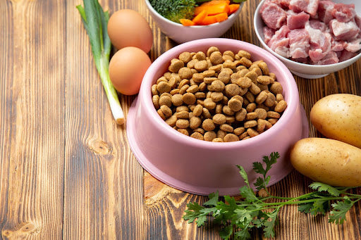 Is Fresh Cat Food Worth It? Cost, Convenience & Health Benefits Compared