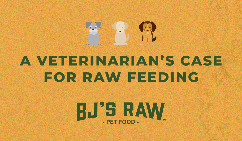 Why Raw Feeding Transforms Pet Health: A Vet’s Endorsement of BJ’s Raw