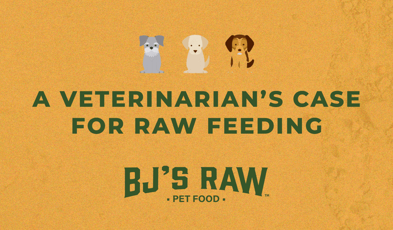 Why Raw Feeding Transforms Pet Health: A Vet’s Endorsement of BJ’s Raw Pet Food