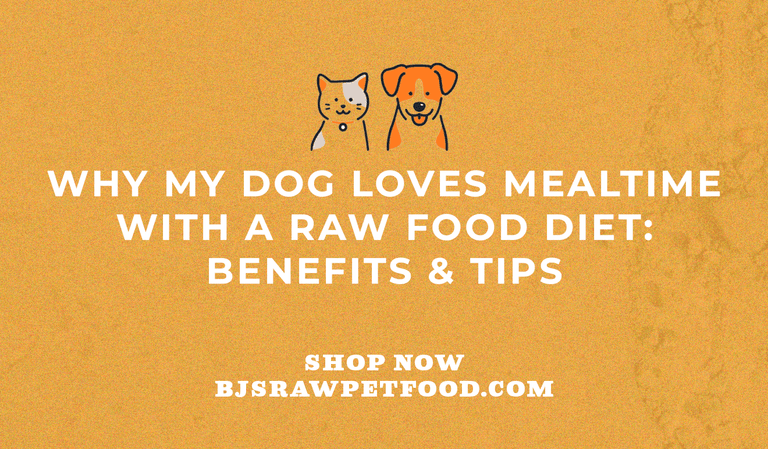 Why My Dog Loves Mealtime with a Raw Food Diet: Benefits & Tips
