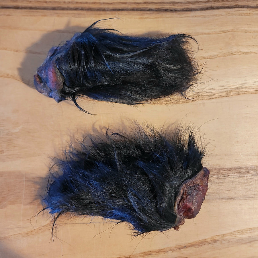 Dehydrated Bison Ears