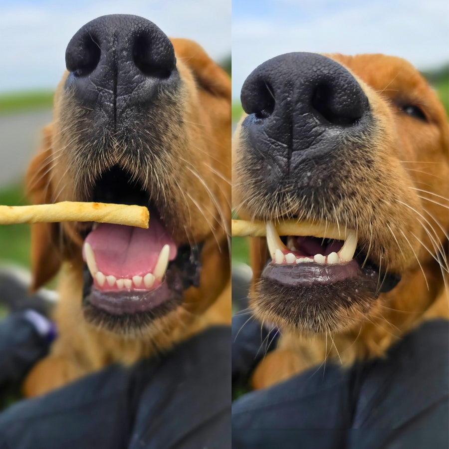 No-Hide Stix