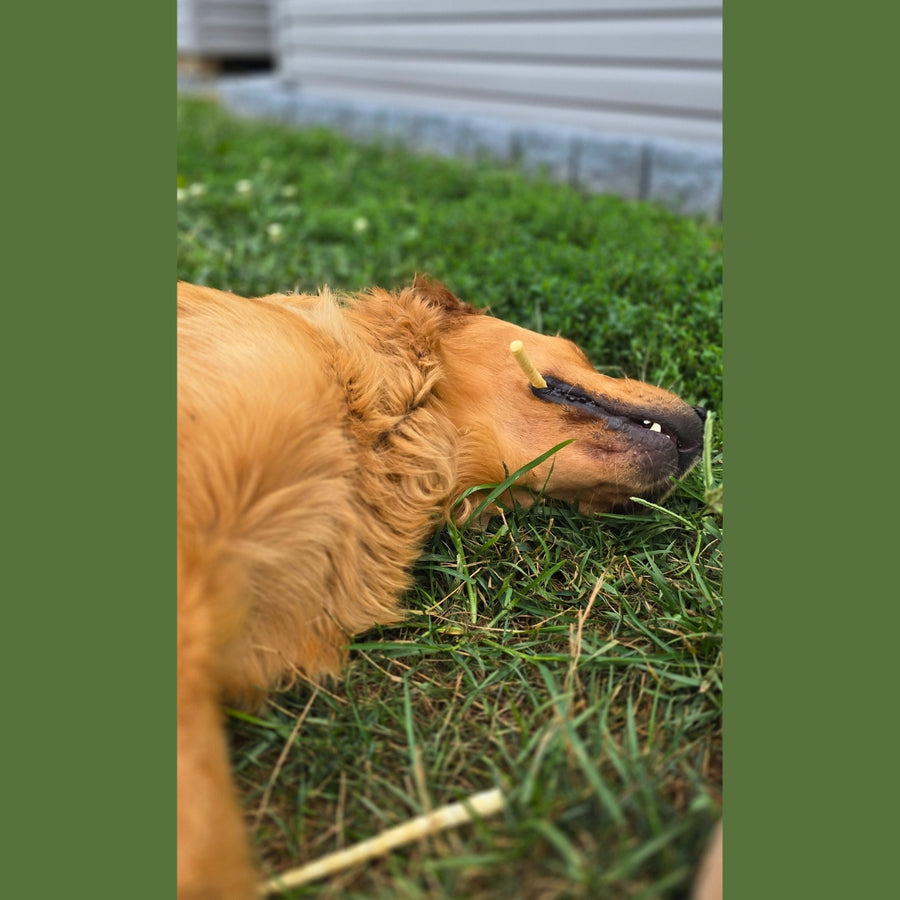No-Hide Stix