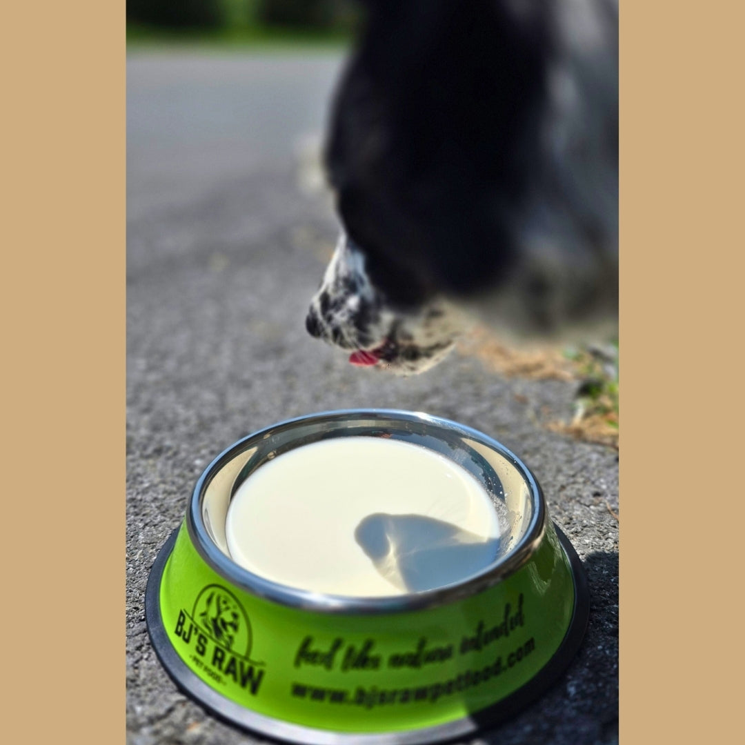 Goat Colostrum