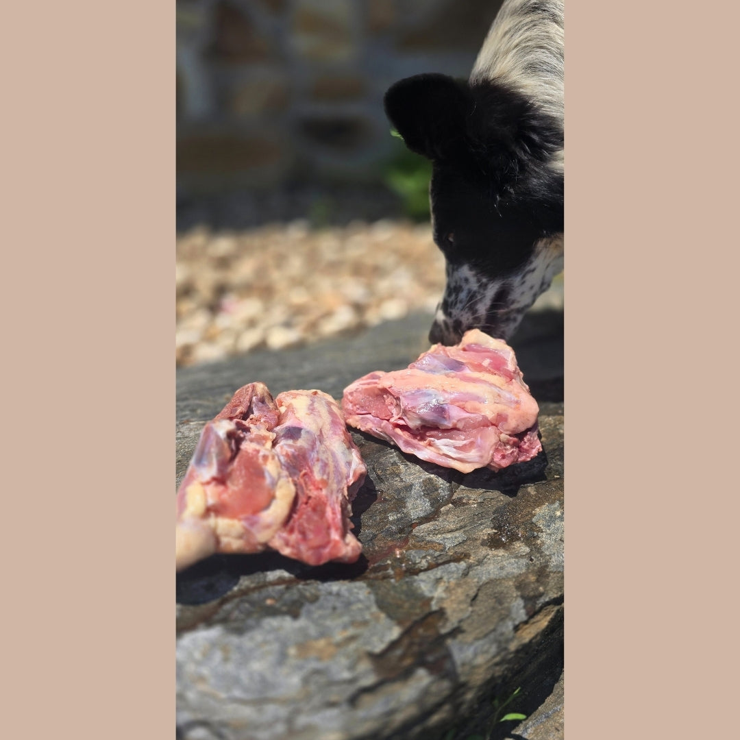 Chicken Backs