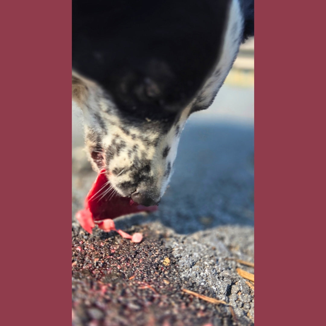 Beef Heart