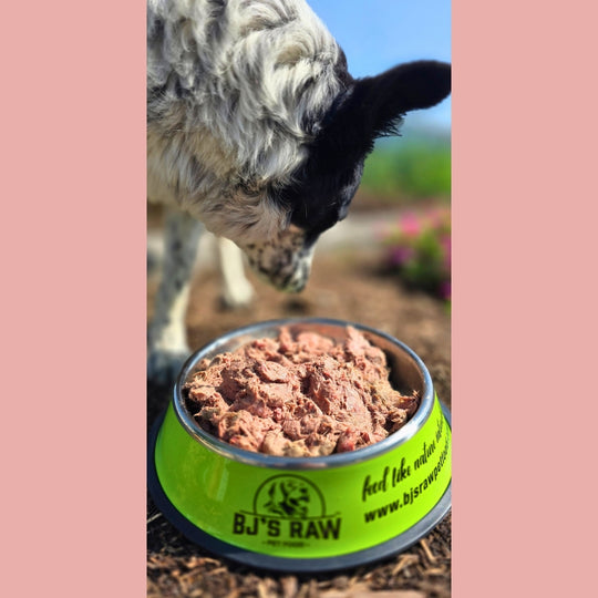 Rabbit and Salmon Mix