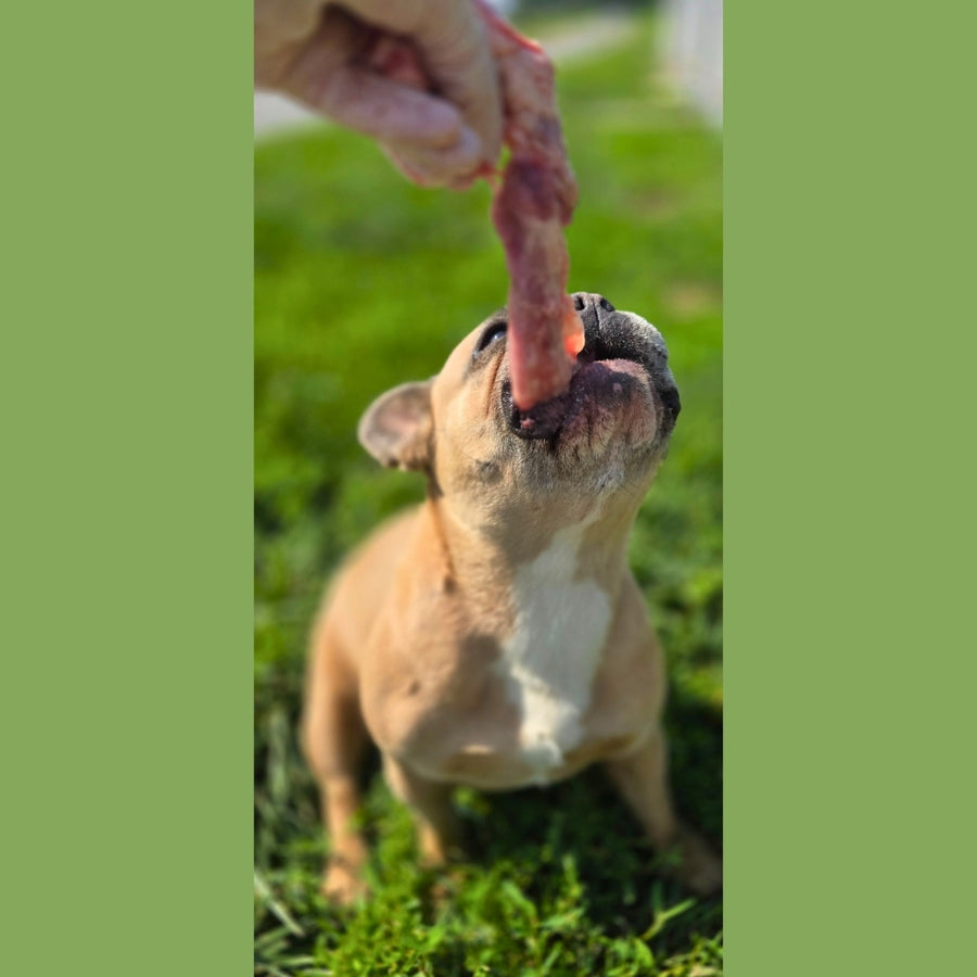 Chicken Necks
