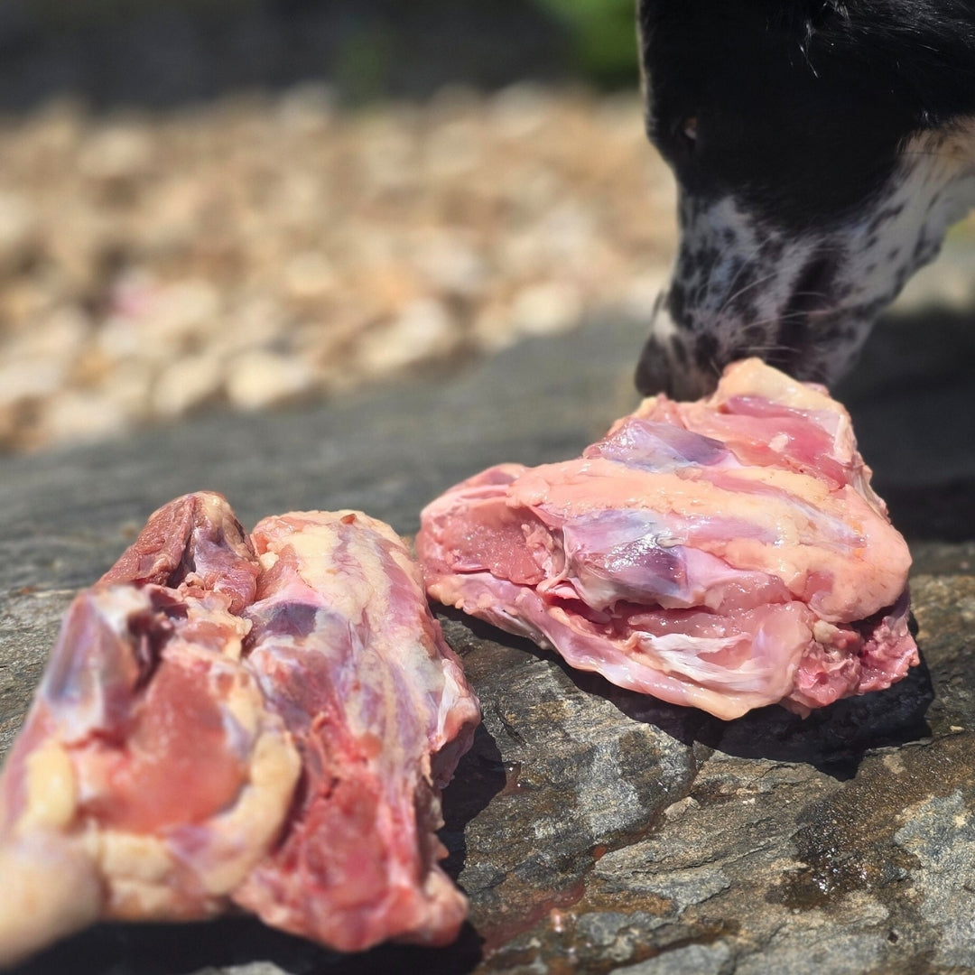 Chicken Backs