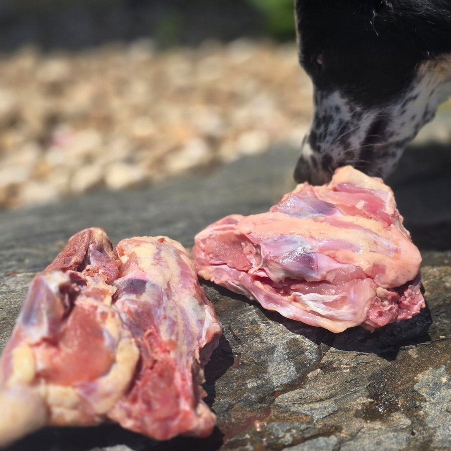 Chicken Backs