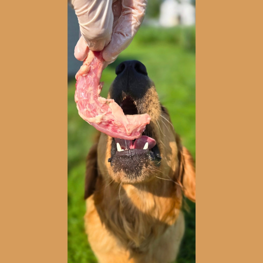Chicken Necks