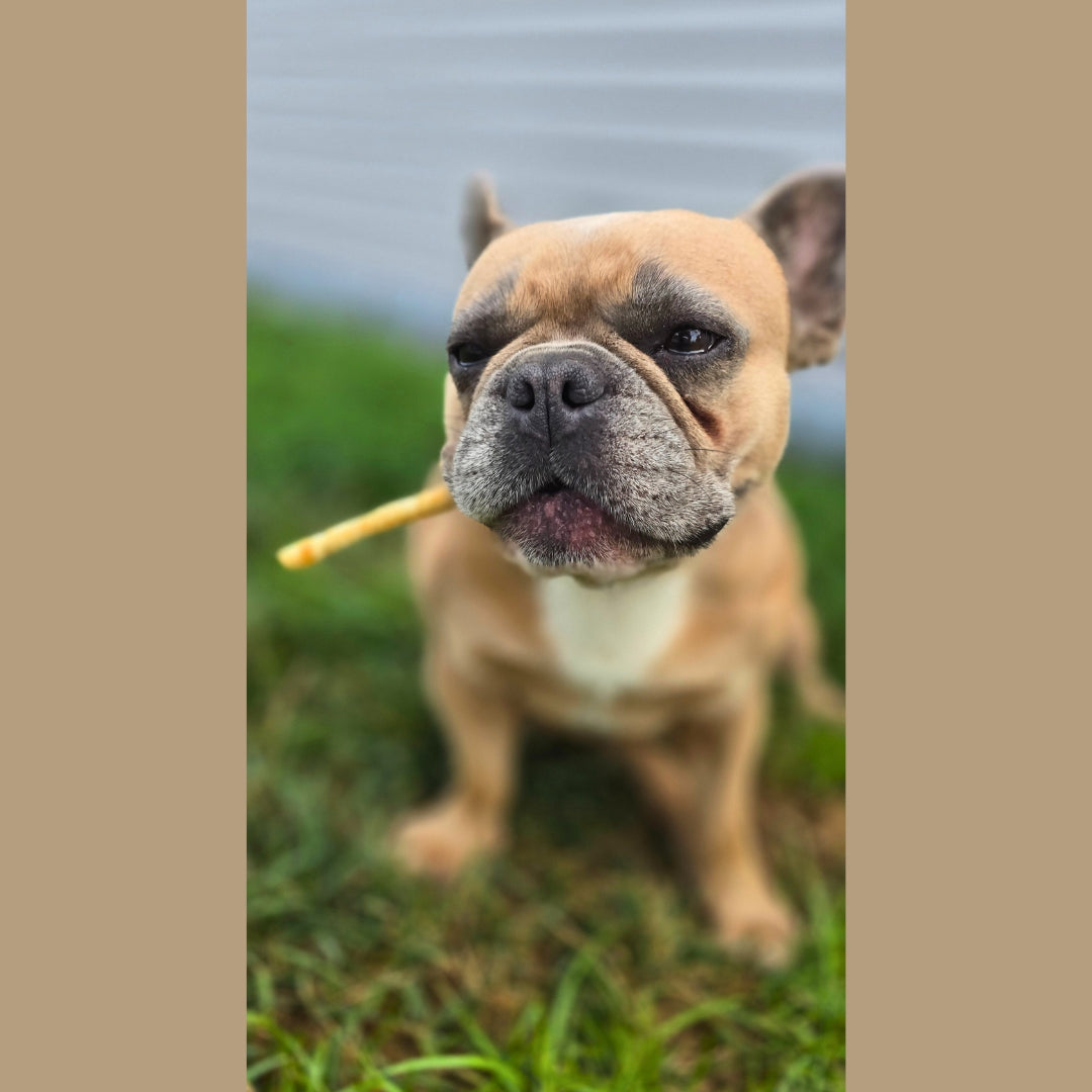 No-Hide Stix