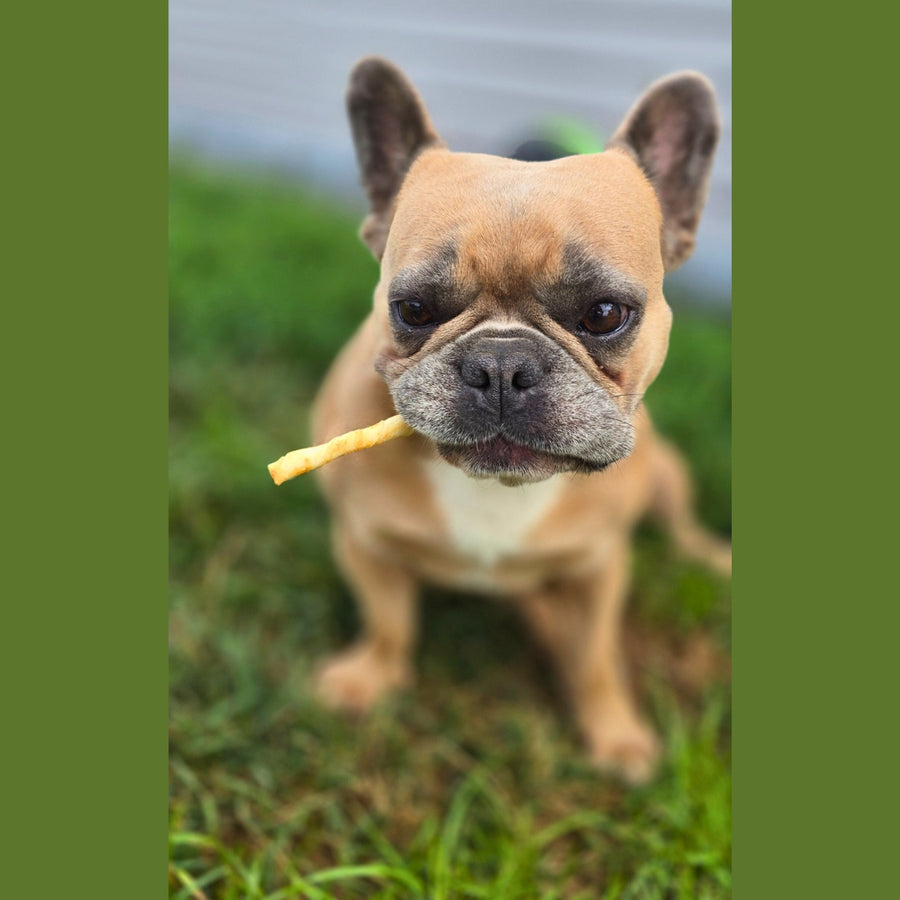 No-Hide Stix