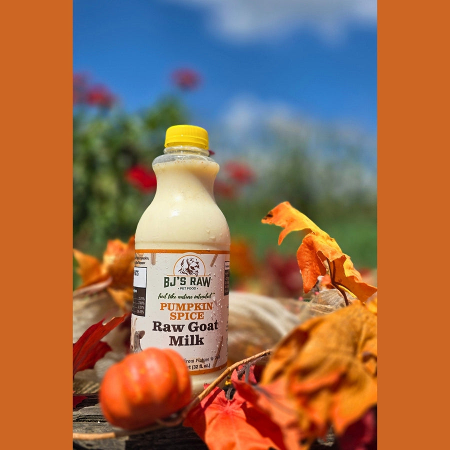 Pumpkin Spice Raw Goat Milk