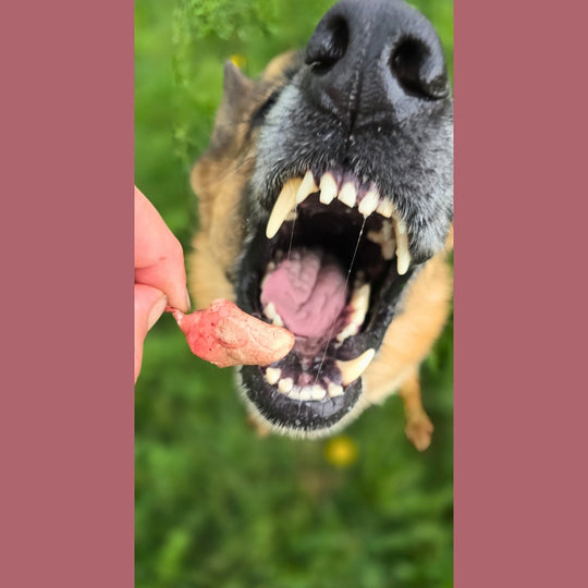 Freeze Dried Chicken Heart Treat