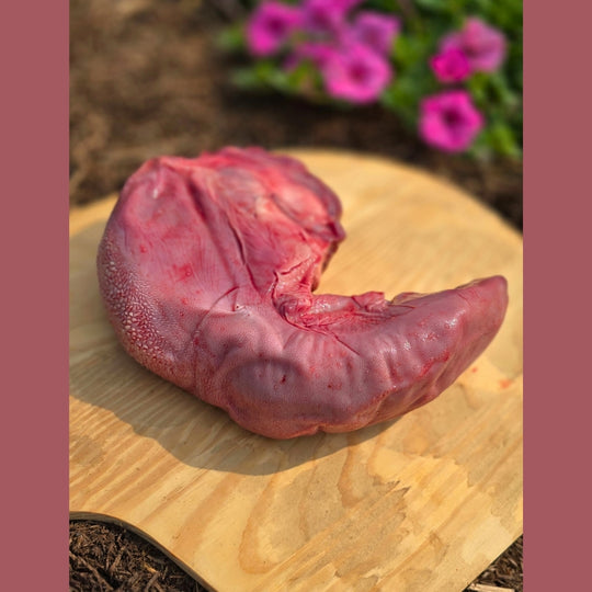 Beef Tongue (Whole)