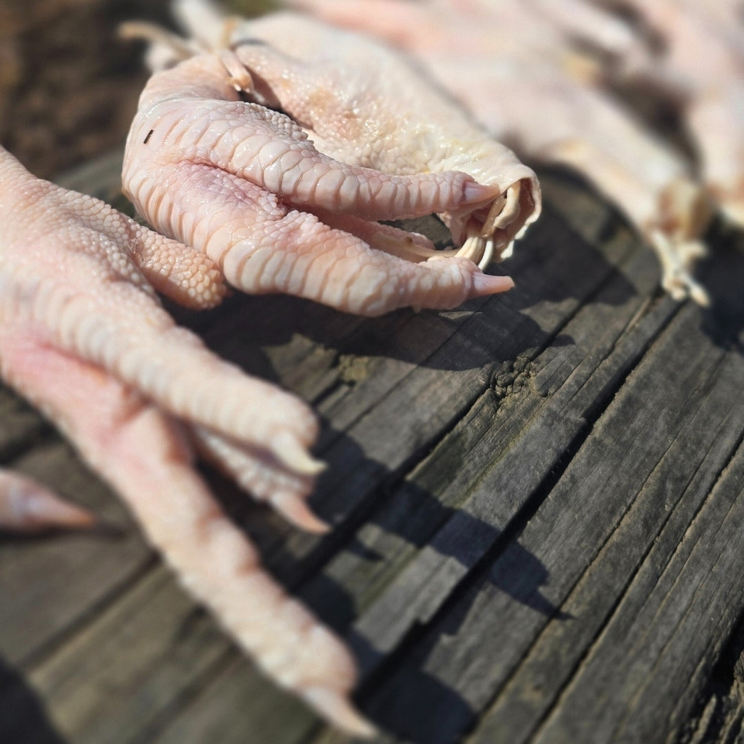 Chicken Feet