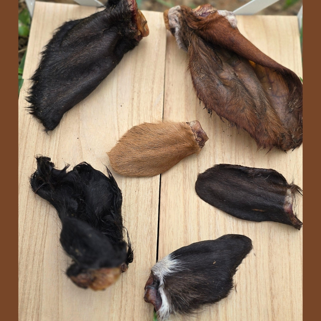 Dehydrated Cow Ears
