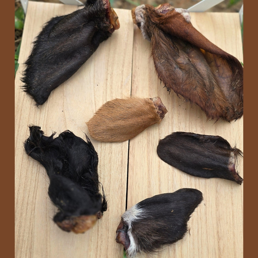 Dehydrated Cow Ears