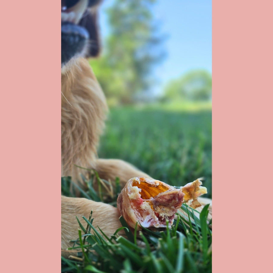 Dried Beef Trachea