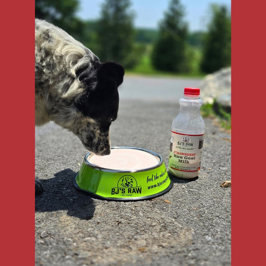 Strawberry Raw Goat Milk