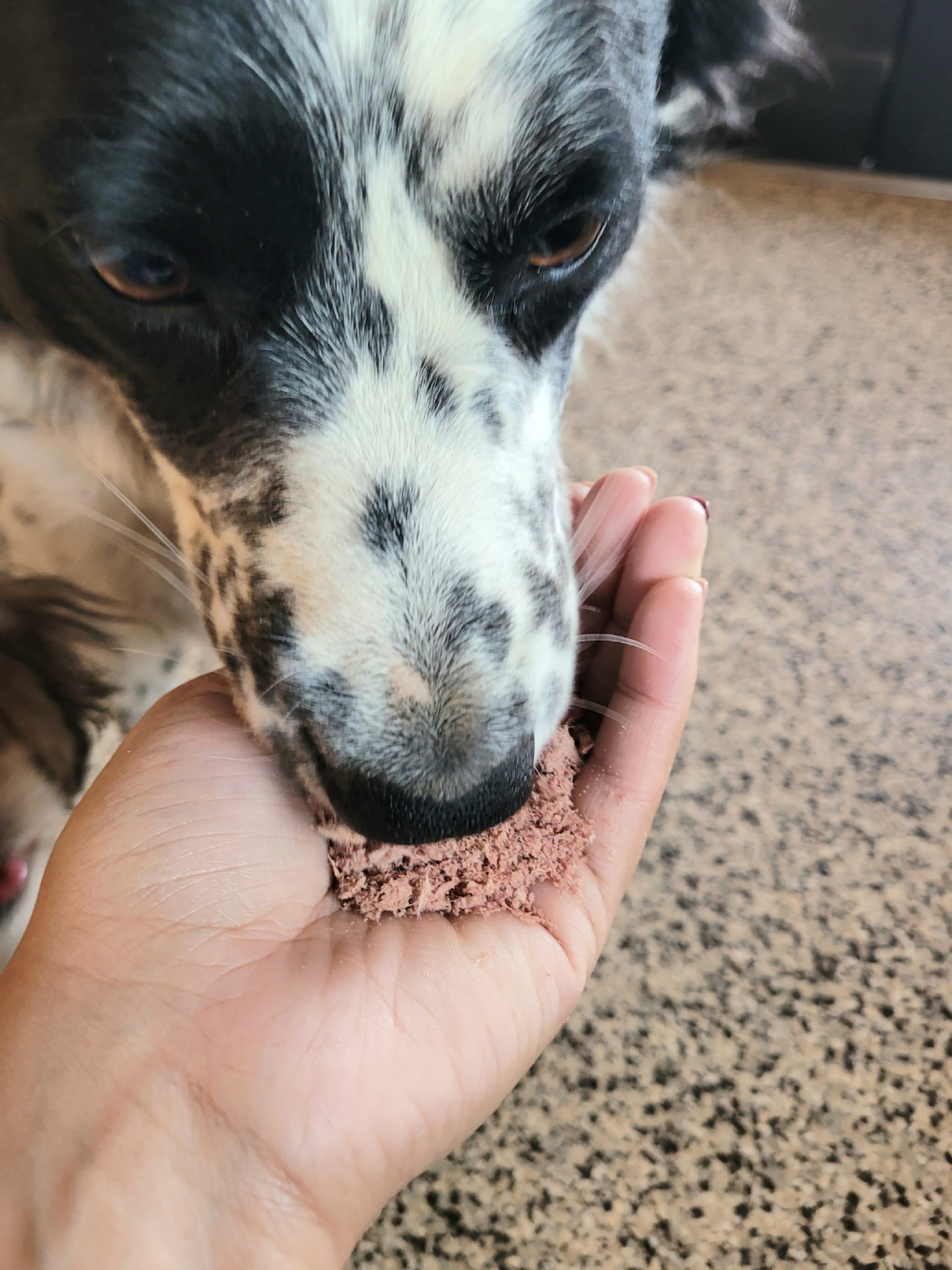 Freeze-Dried Beef Heart