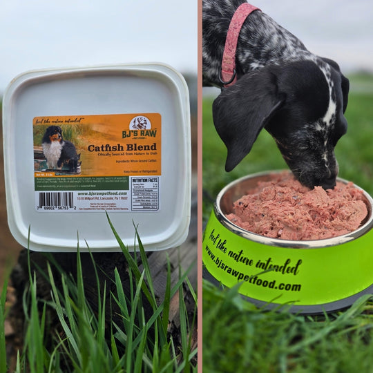Catfish Blend
