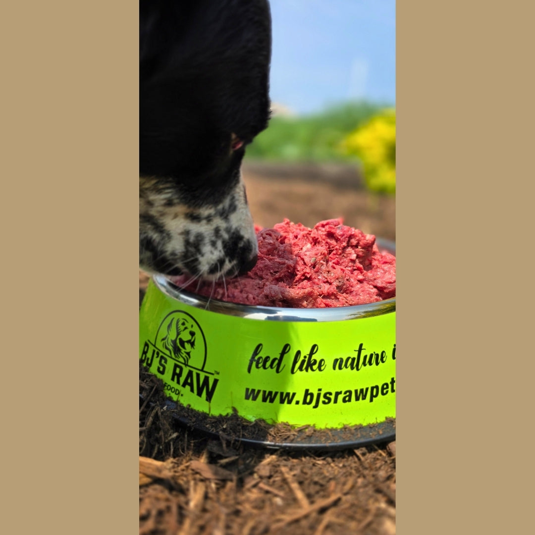 Raw Paw Mix BJ's Raw Pet Food