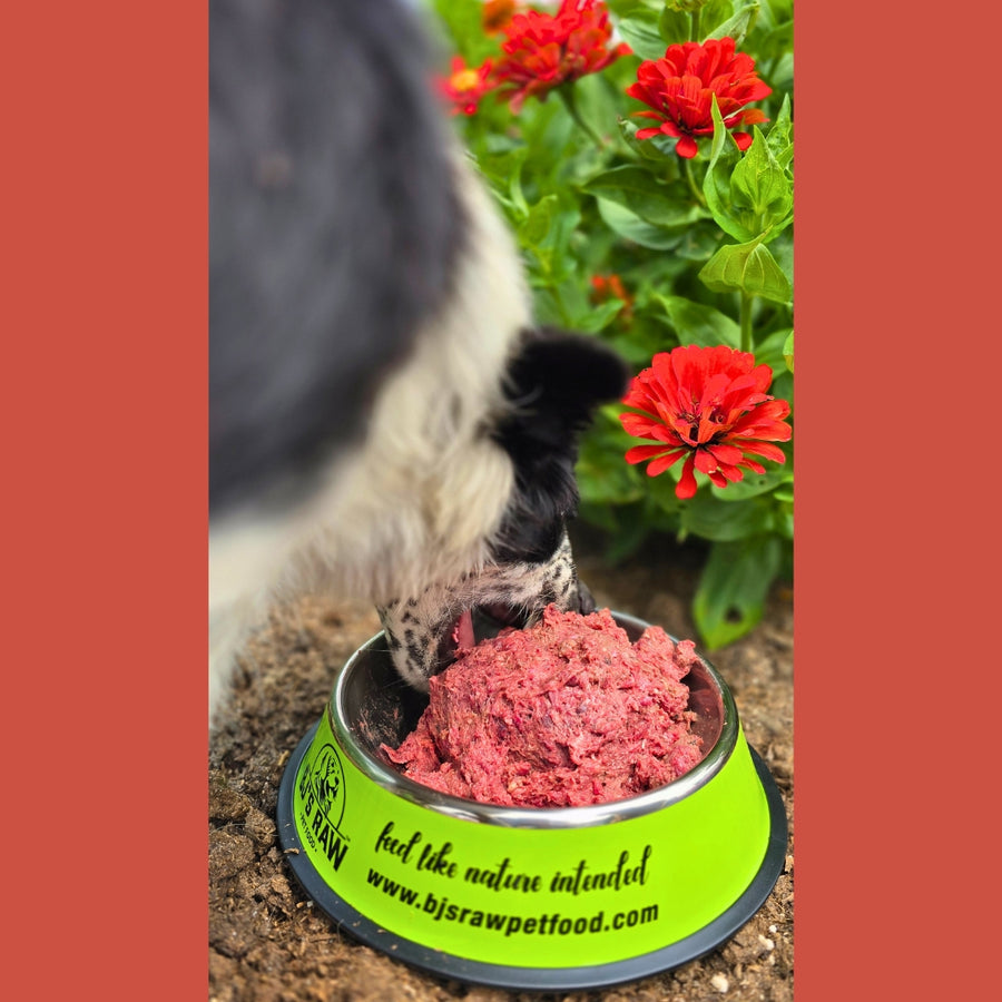 How Much Does Raw Food Diet for Dogs Cost: Ultimate Budget Guide